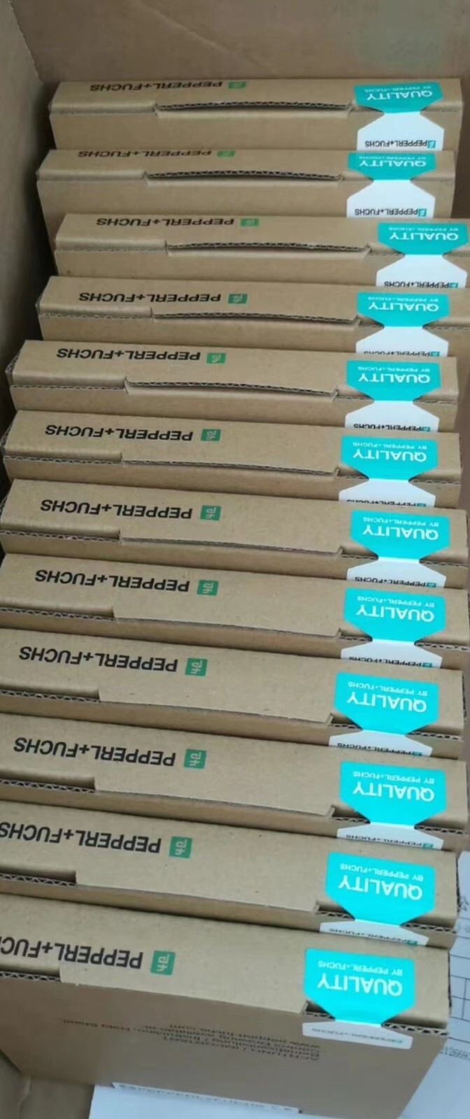 1 PCS Pepperl-Fuchs KFD2-UT2-EX1-1 IN NEW BOX ALL NEW