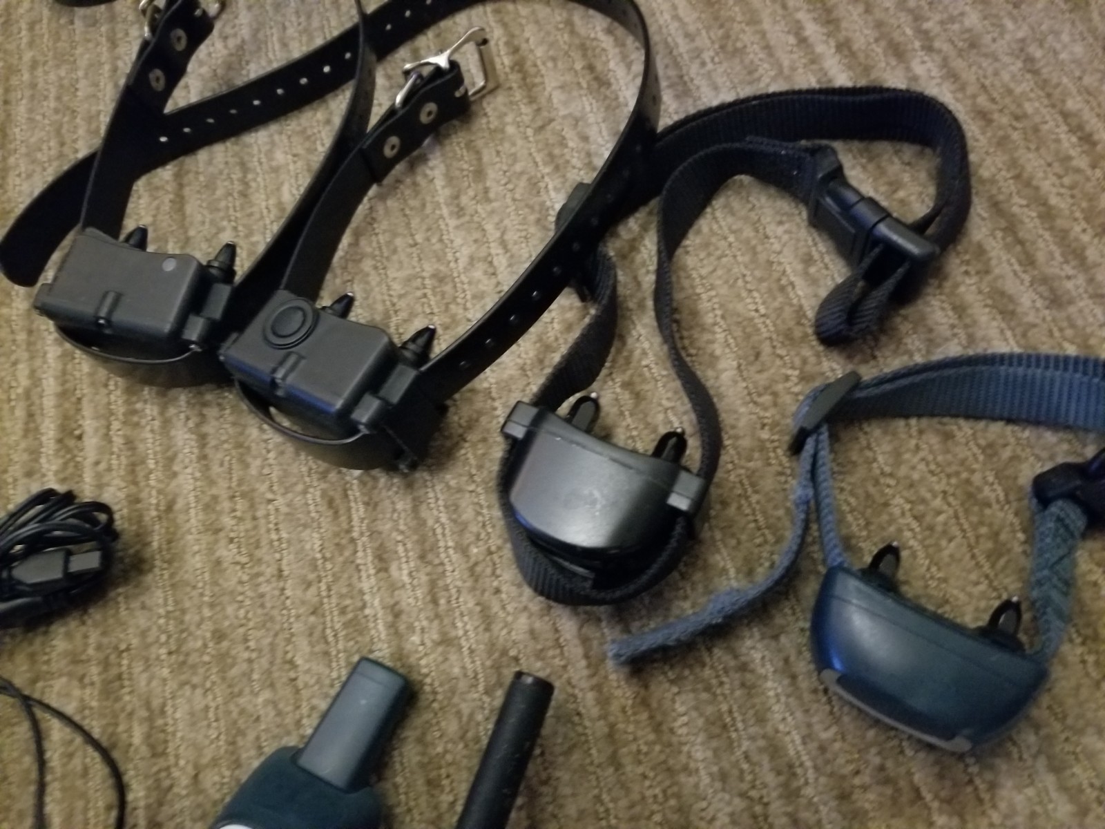 Lot of electronic collars, remotes and PetSafe perimeter fence