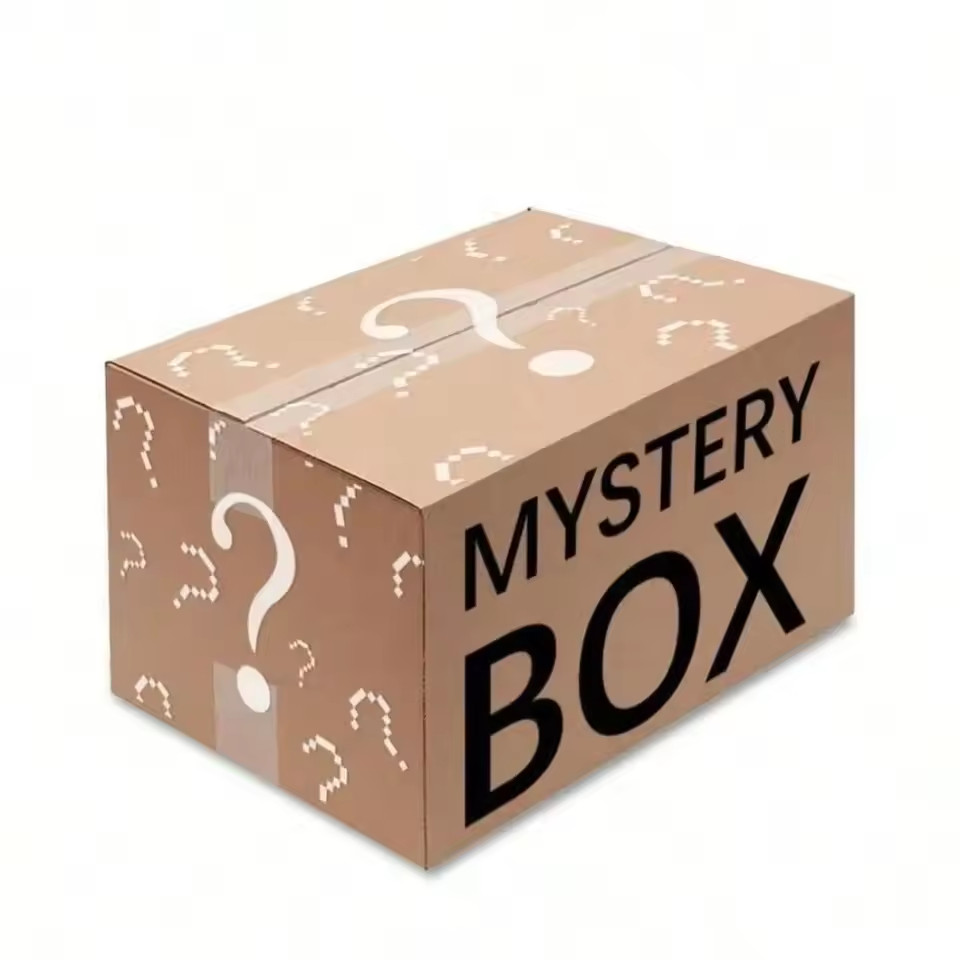 2Pcs Mystery Hidden Gift Case, Exciting Assorted Premium Surprise Finds.