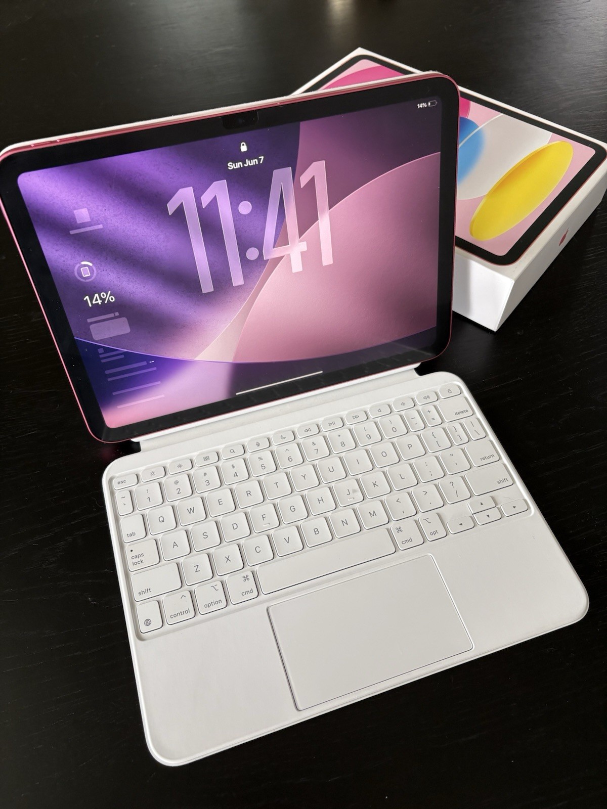 Apple iPad Bundle