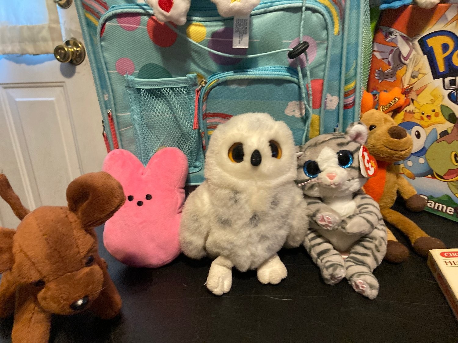 Girls Rolling Suitcase Backpack Sleepover Lot Bluey Pokemon Ty Beanie Boos Plush