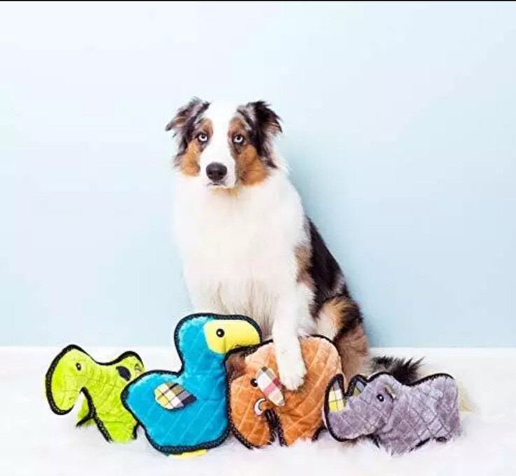 Zippy Paws Z-Stitch Grunterz Durable Dog Toy – Ronny the Rhino
