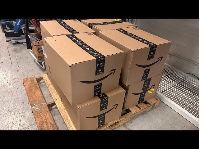 Target Clearance Mystery Box – Seasonal & Household Goods : New in Package