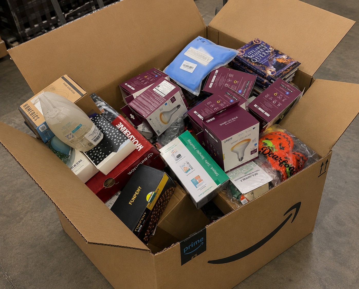 Overstock Merchandise Box – Everyday Essentials & Random Finds