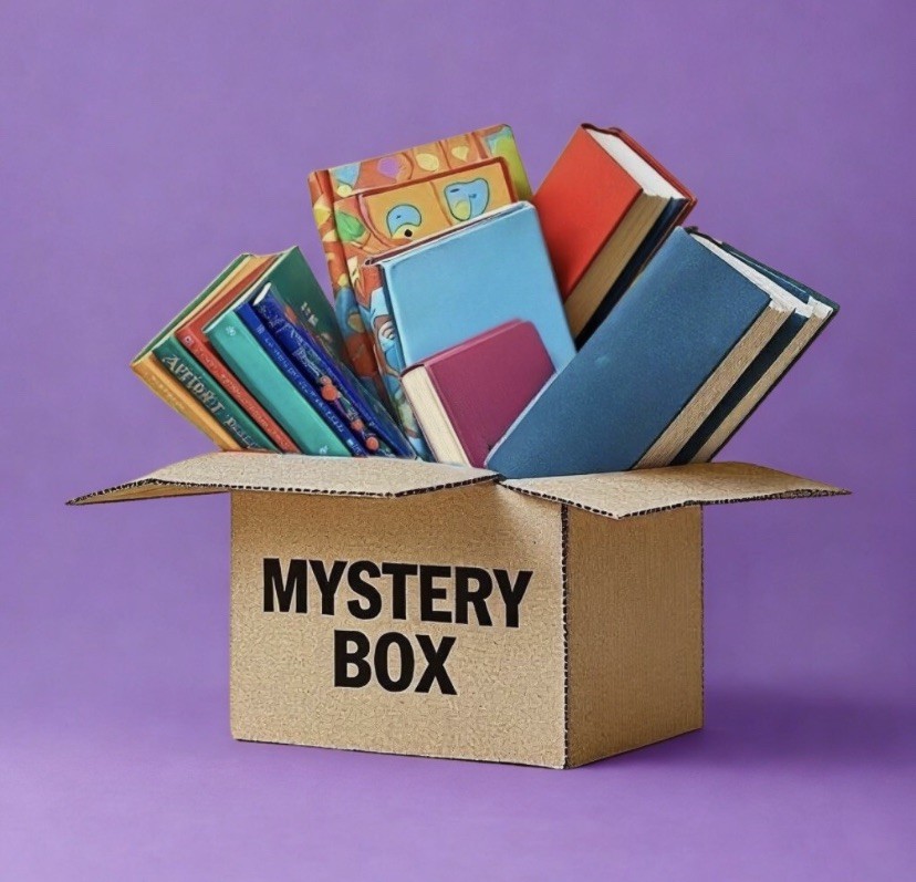 Mystery Box BOOKS BARNES & NOBLE TARGET 4 Books Each Hardcover Paperback Gift
