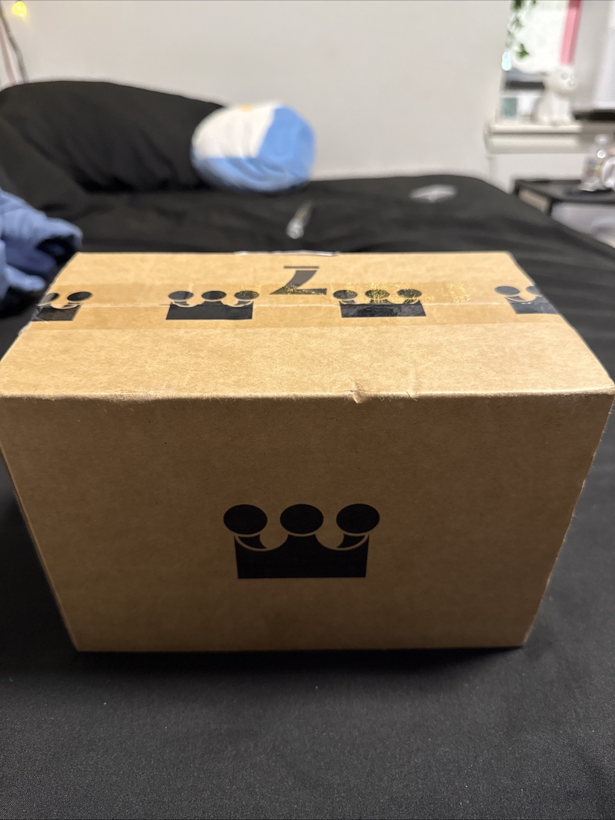 Random Amazon package (surprise Package)