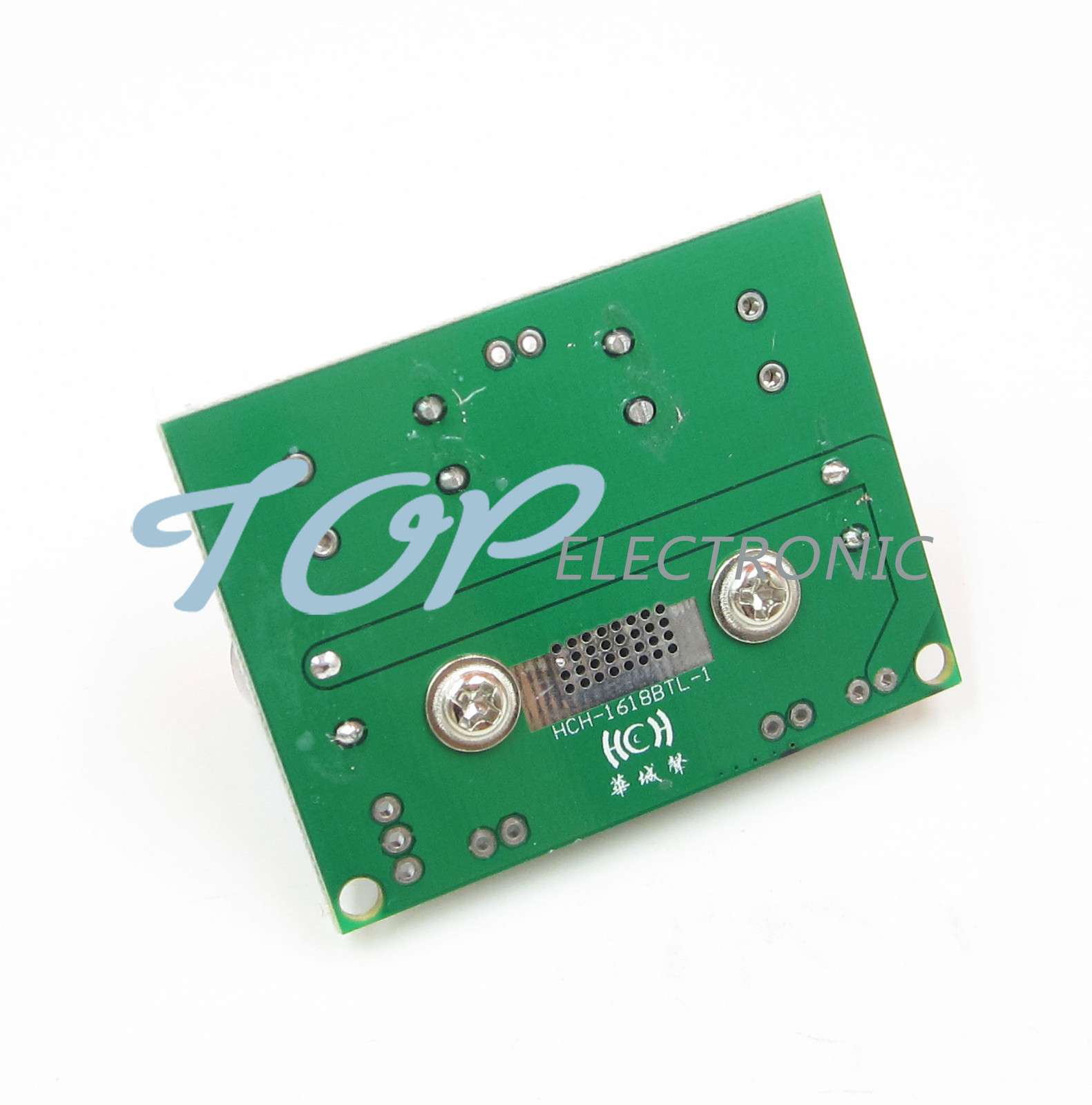 DC 12V-24V TPA3116 Digital Power Amplifier Board Mono 100W for Car Motorcycle
