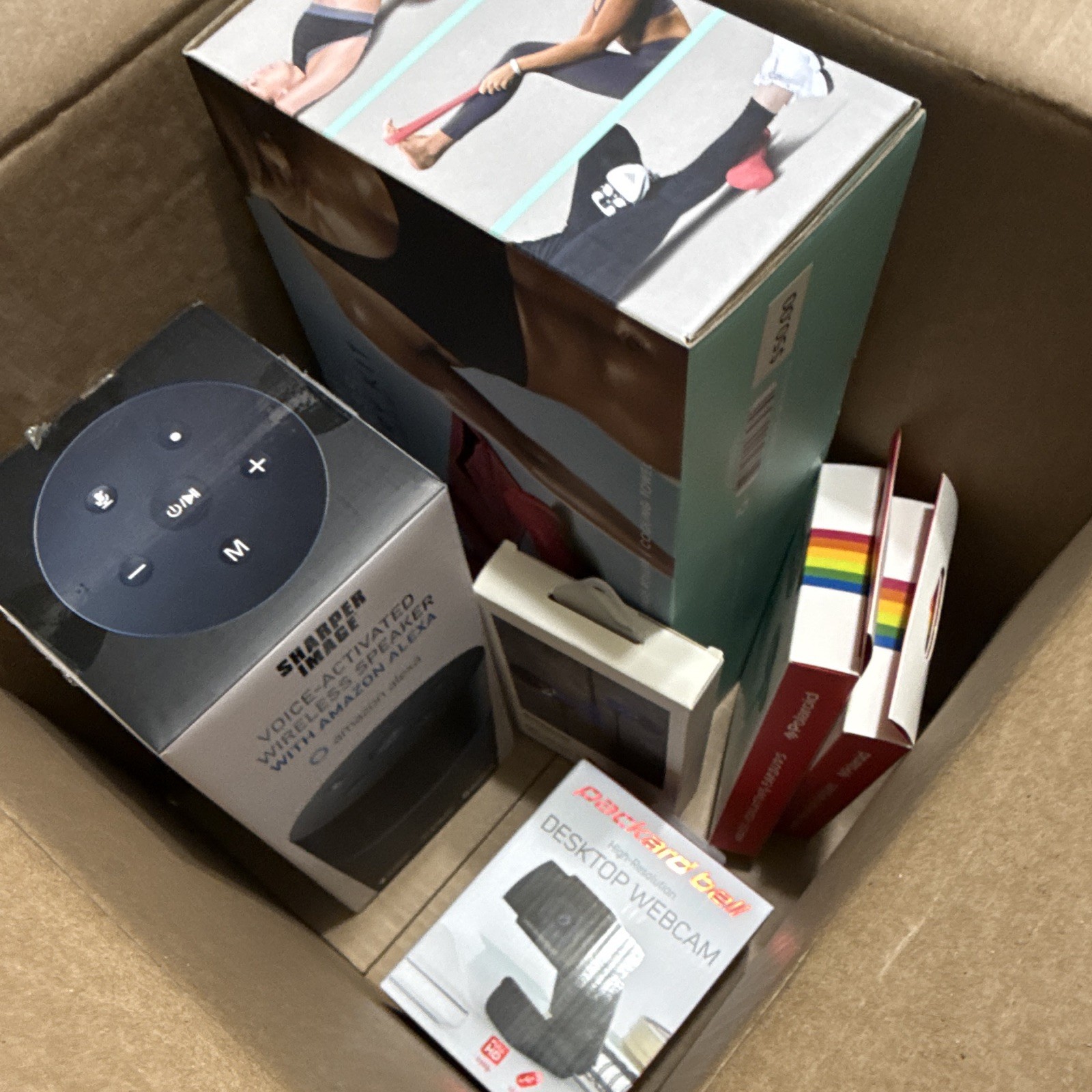 Sharper Image Alexa Speaker + Packard Bell Webcam + Polaroid Earbuds