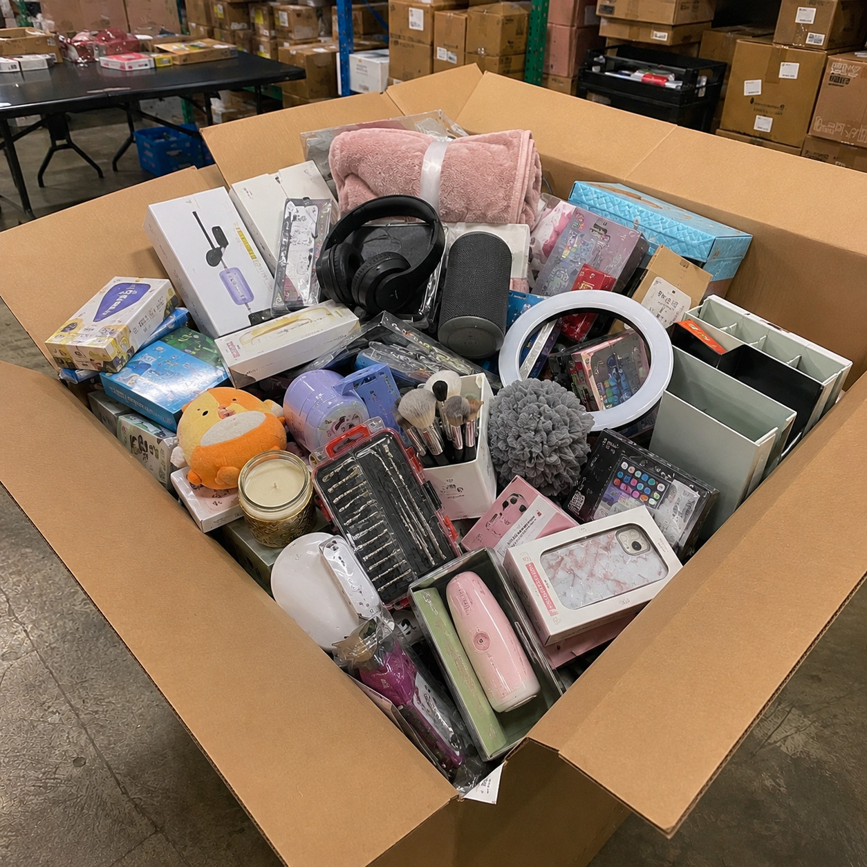 Bulk Mixed Merchandise Lot Shelf Pulls Overstock Returns Reseller Inventory Box