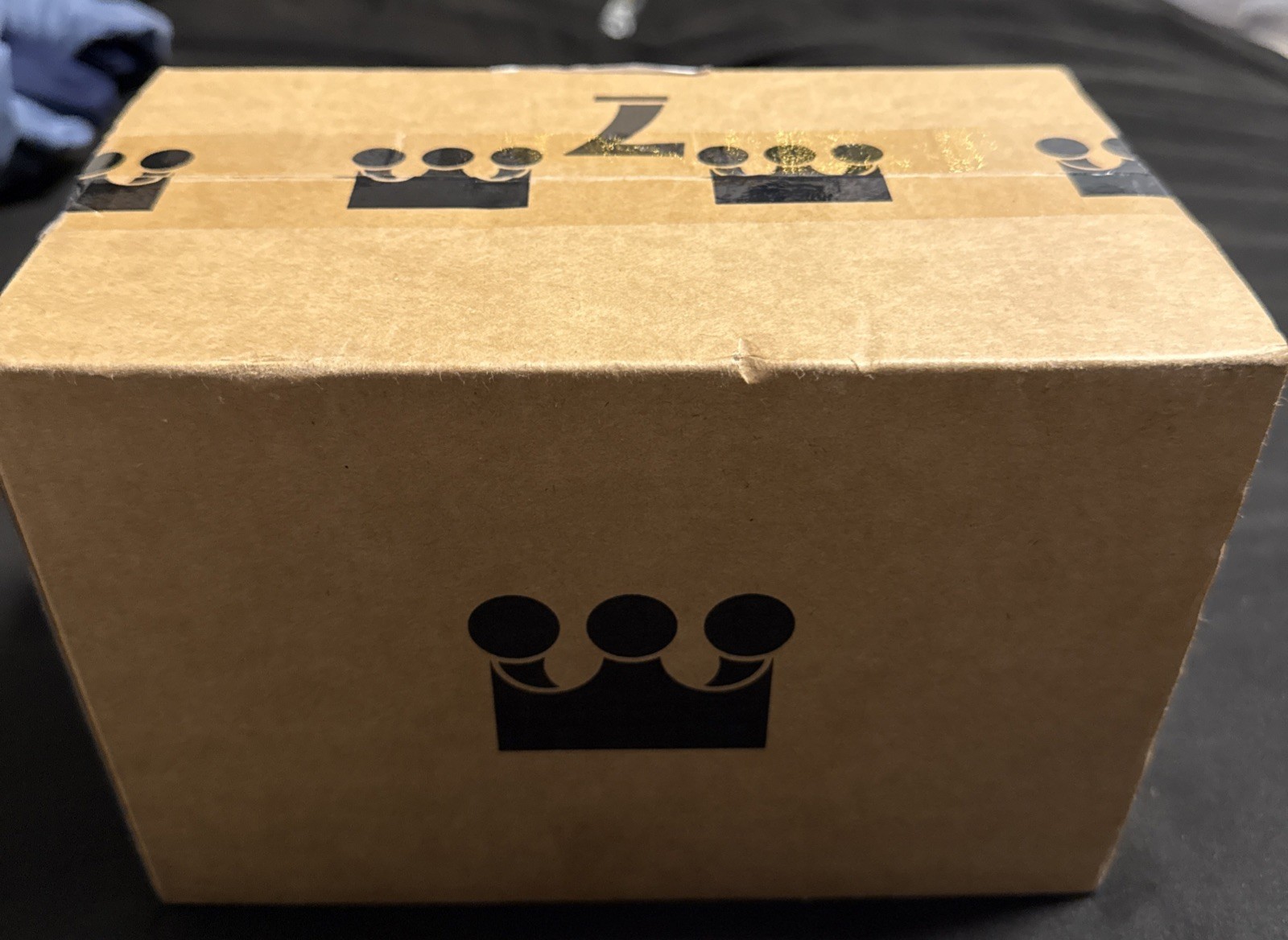 Random Amazon package (surprise Package)