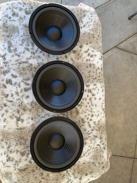 GRS 8PF-8 8″ Paper Cone Foam Surround Woofer/PRICE IS FOR EACH