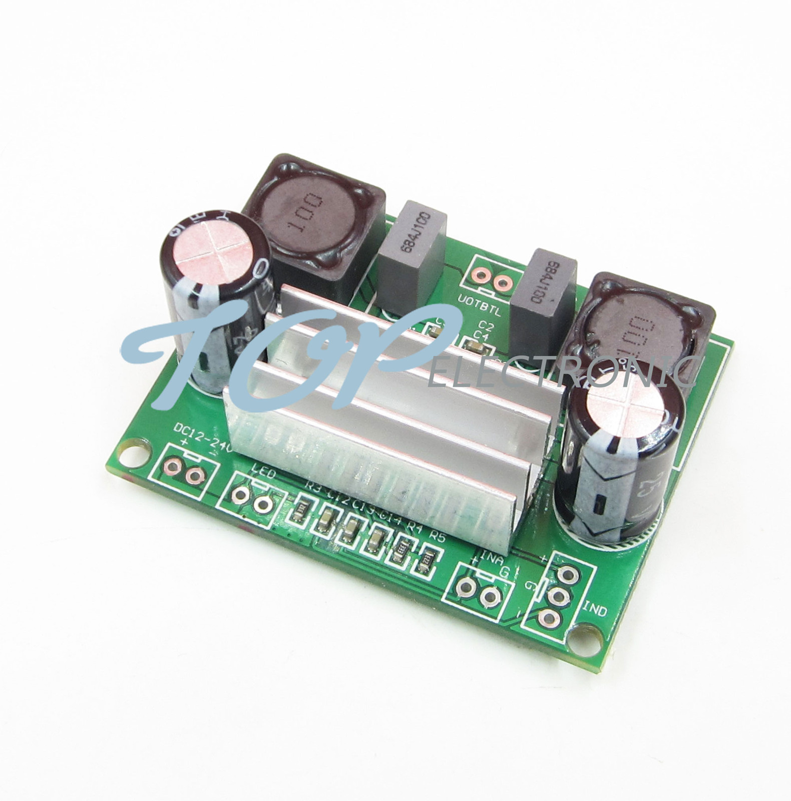 DC 12V-24V TPA3116 Digital Power Amplifier Board Mono 100W for Car Motorcycle