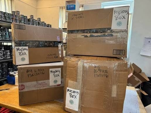 Amazon Overstock Surprise Box – Toys & Home Goods | Blind Box Style