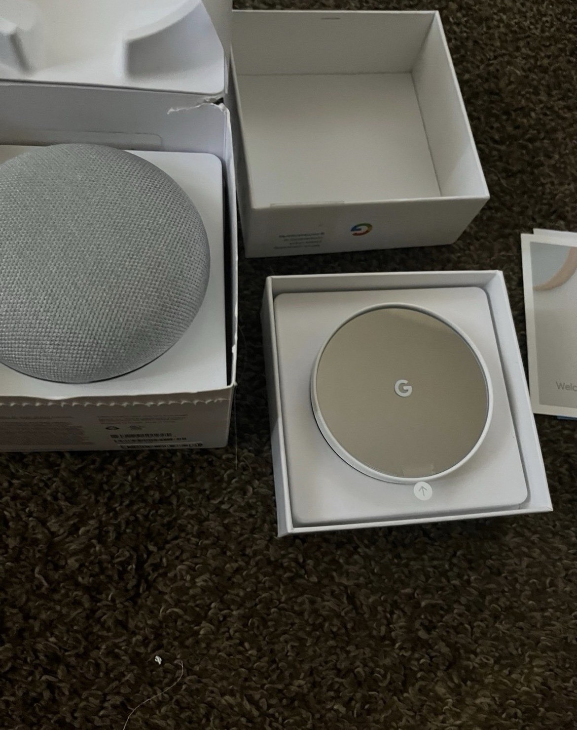 Google Home Mini Smart Speaker & Nest Thermostat Smart Thermostat Lot