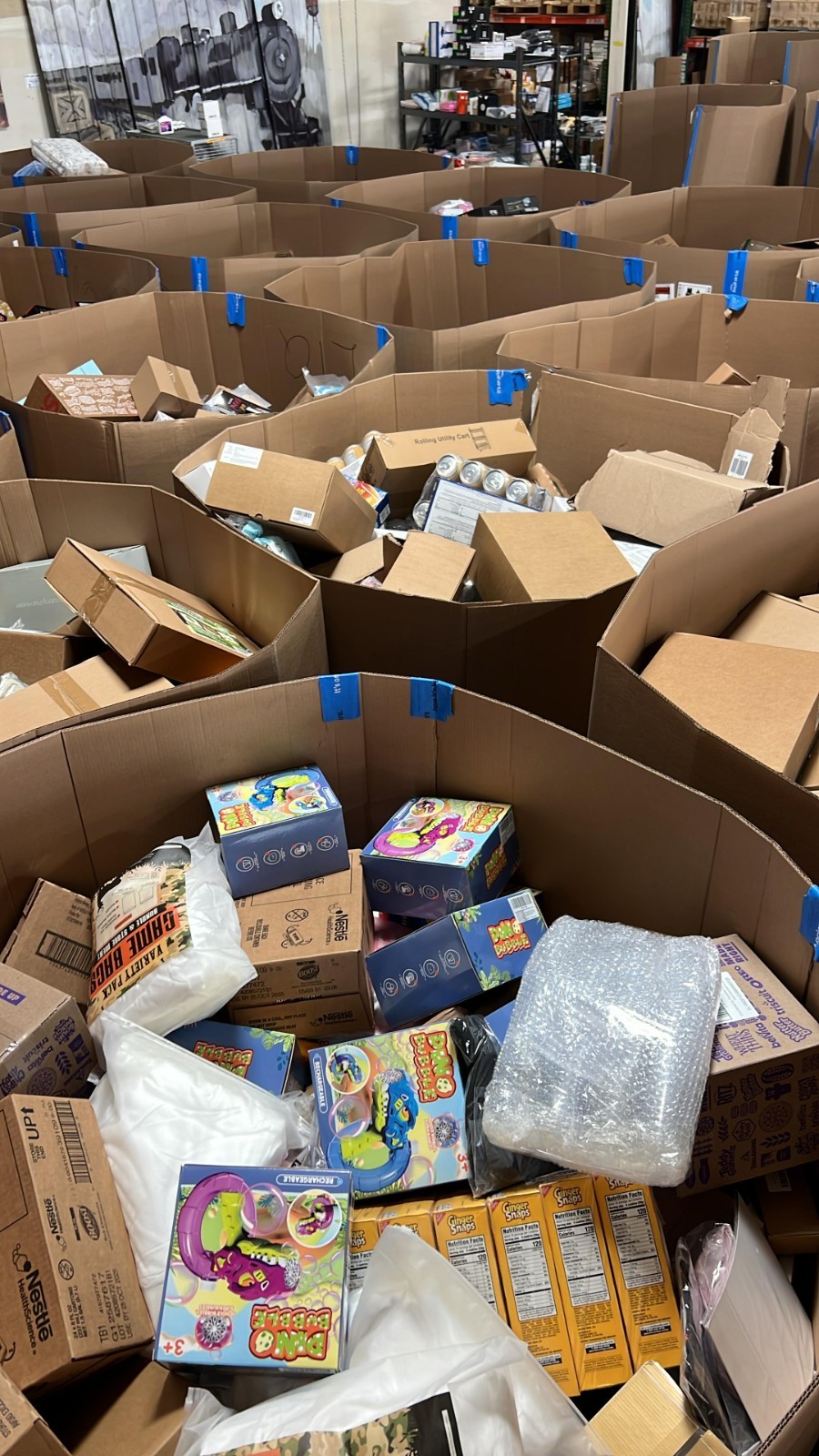 AMAZON Mystery Box General Merchandise Lot Fun Liquidations Bundle Free Shipping
