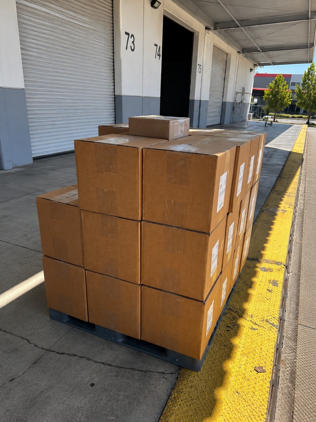 Walmart Overstock Assorted Items Grab Bag | You Won’t Believe What’s Inside