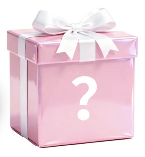 Woman’s Mystery Box General Merchandise Fun Liquidations Bundles All New Items