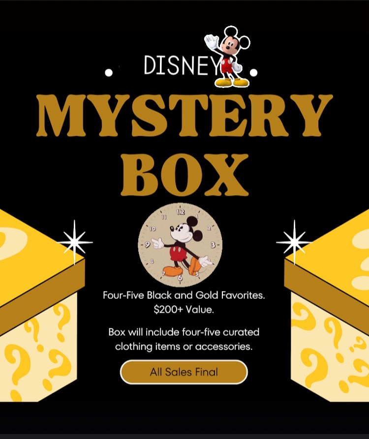 Disney Themed Amazon Return Box Amazing Value + Miscellaneous 4-5 Items