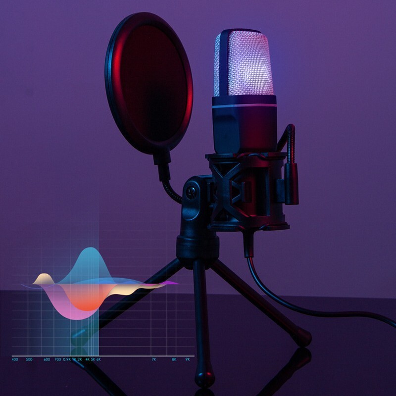 Clear Full RGB Capacitor Esports Gaming Microphone