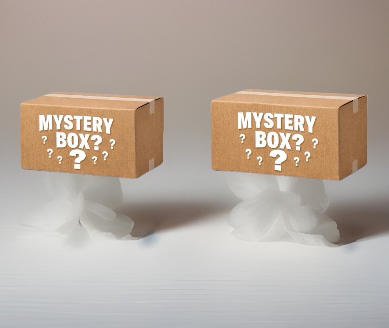 Mystery Box – Amazon, Walmart,Target- surprise assortment (16 x 12 x 8)