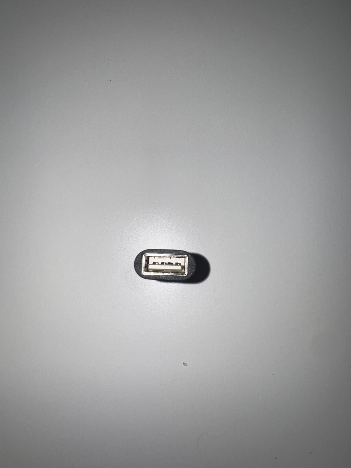 usb-c to type c adapter