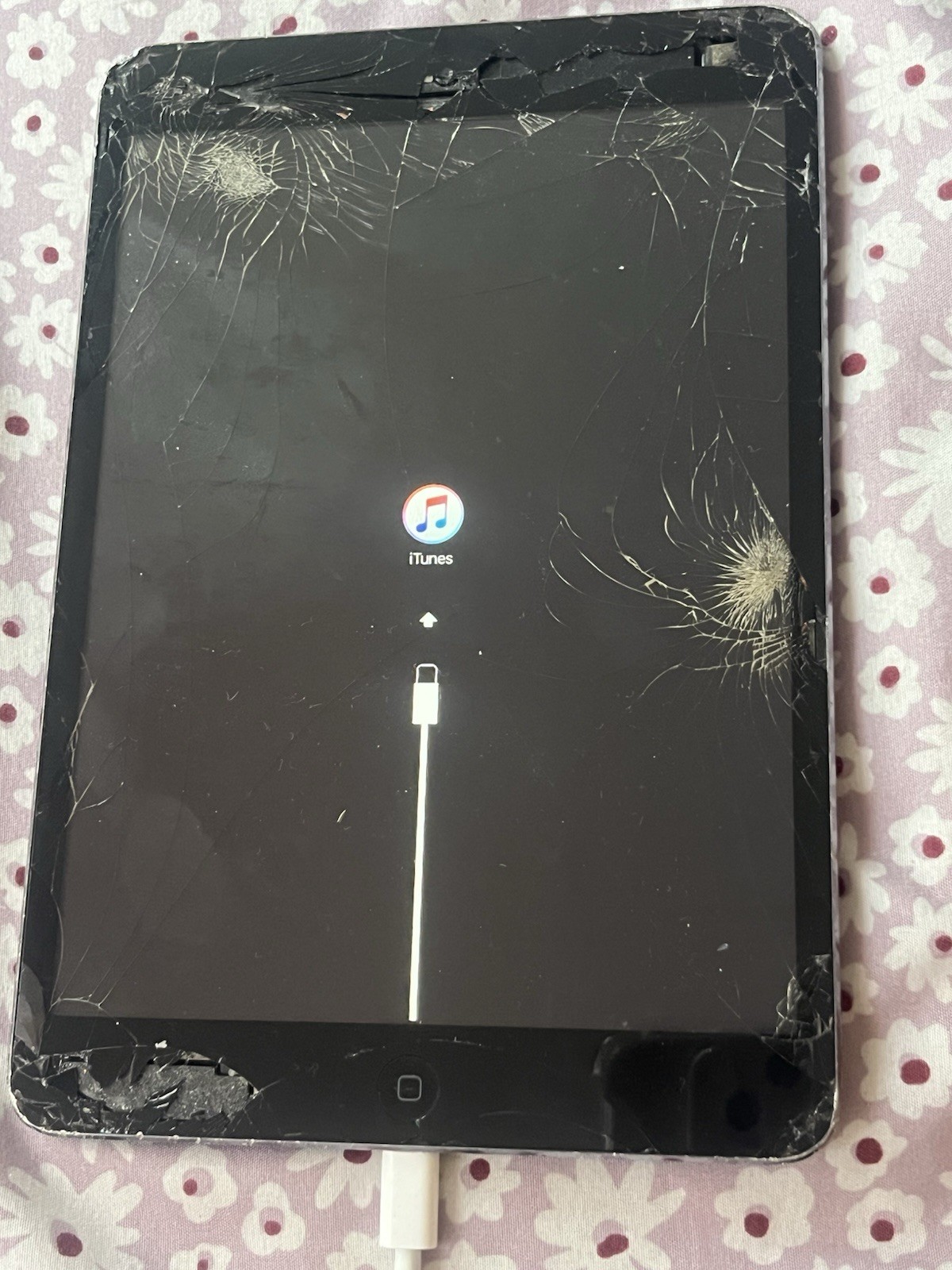 Mixed Lot Of Apple Products. !!!Parts Or Repair As Is Sale Cracked Screen