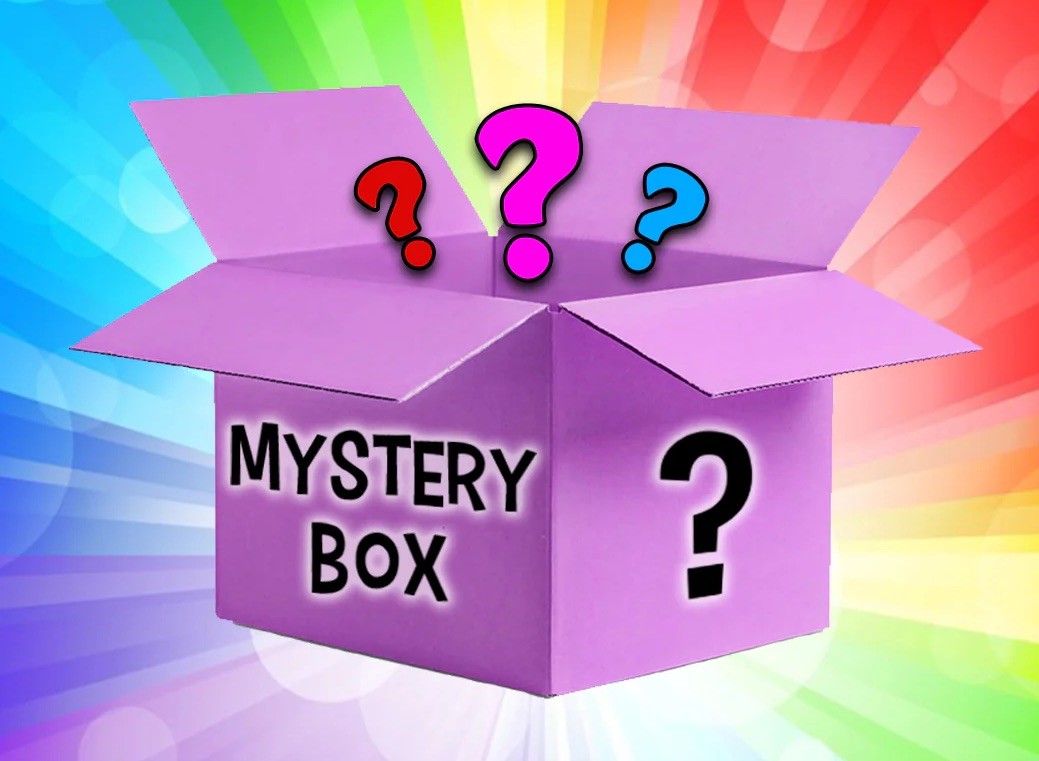 BIG Mystery Box – 10 Pcs – Overstock, Random Items, Surprise Gifts, NEW UNOPENED