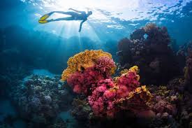 Sibuti Coral Reef National Park in Miri 
