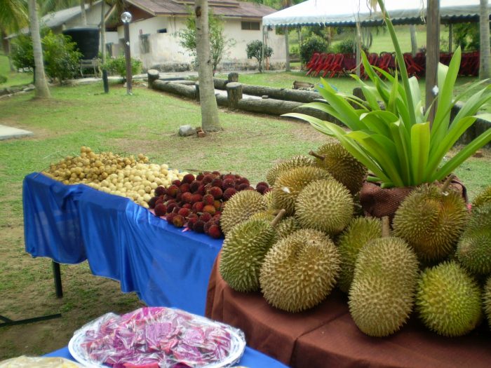 Melaka Tropical Fruit Farm
