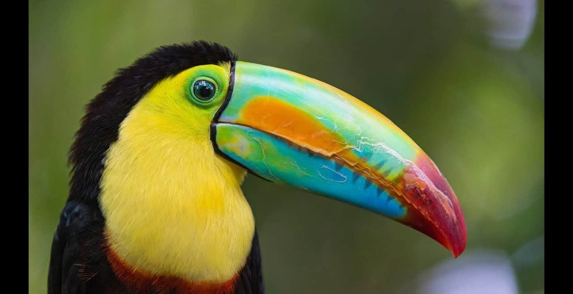 tempat menarik di sarawak