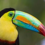 31 Tempat Menarik di Sarawak –  YANG KELAPAN  Anda  MESTI PERGI