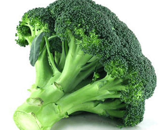 Brokoli 