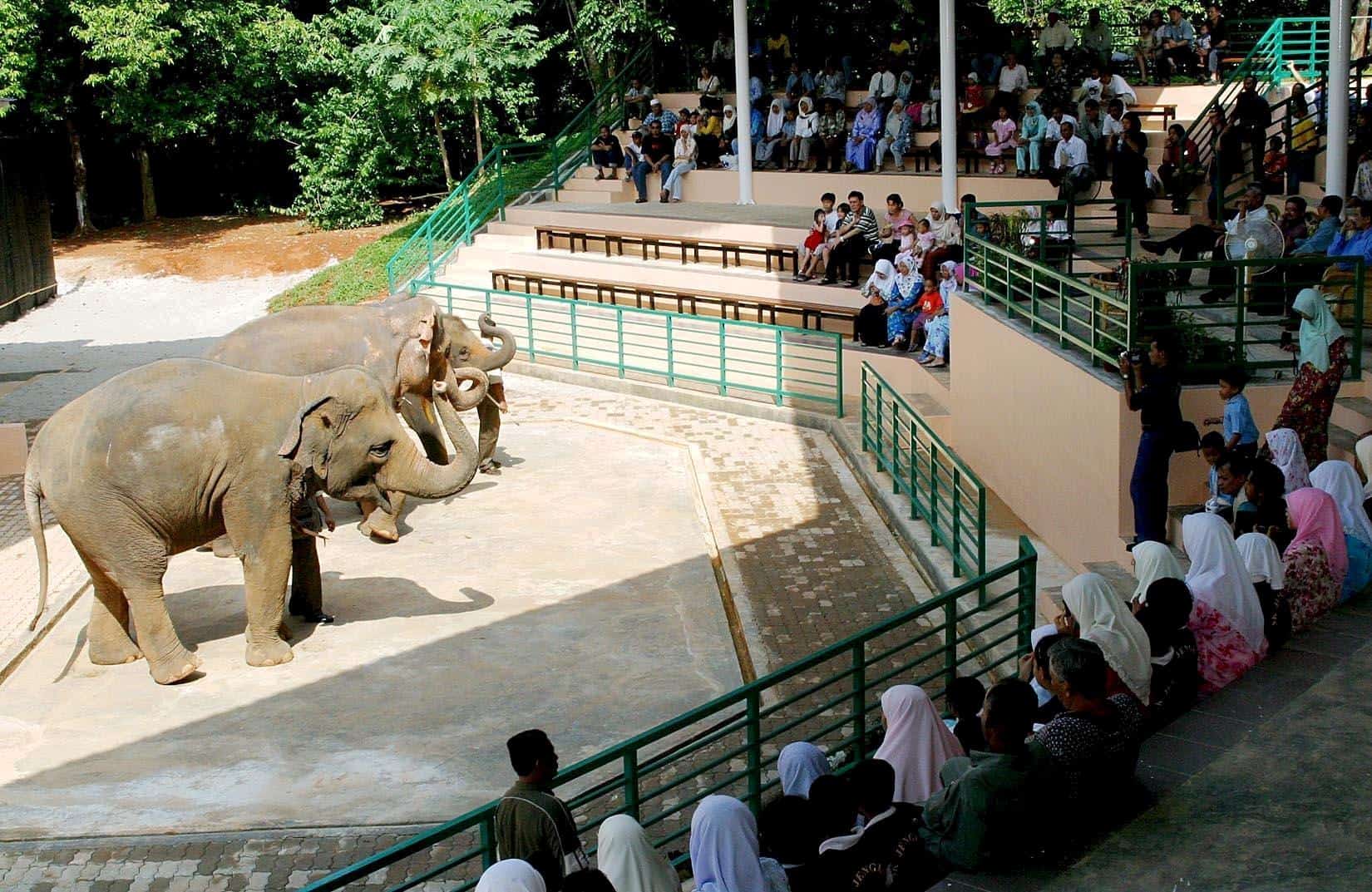 Zoo Melaka 