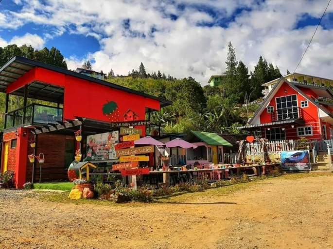 Mesilou Highland Strawberry Farm