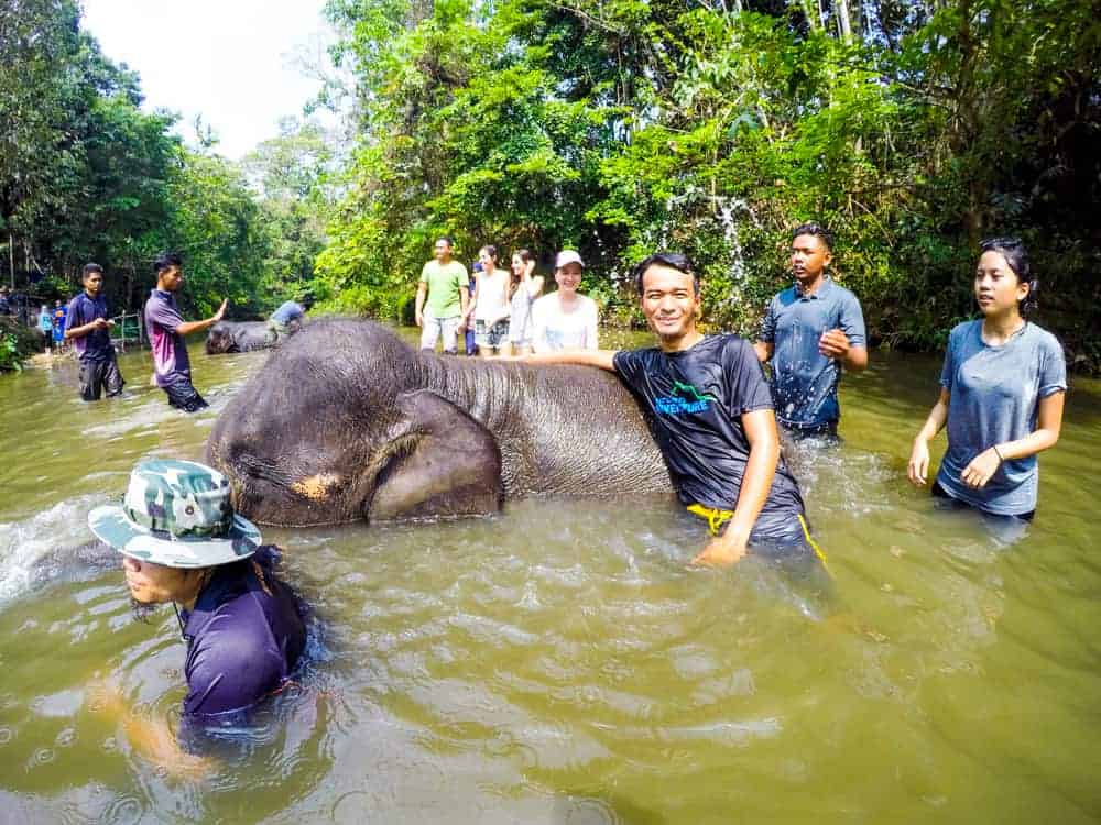 Kuala Gandah Pusat Pemuliharaan Gajah