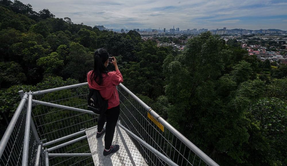 FOREST SKYWALK FRIM DIBUKA SEMULA UNTUK PENGUNJUNG